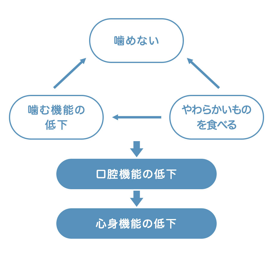 歯磨口腔機能が低下すると全身も衰えるき指導